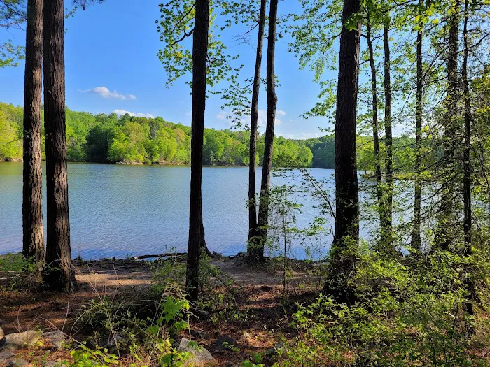 Holly Point Loop 4 Campgrounds Picture 5