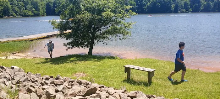 Holly Point Loop 4 Campgrounds Picture 4