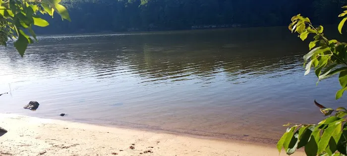 Holly Point Loop 4 Campgrounds Picture 1