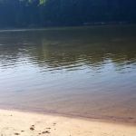 Holly Point Loop 4 Campgrounds