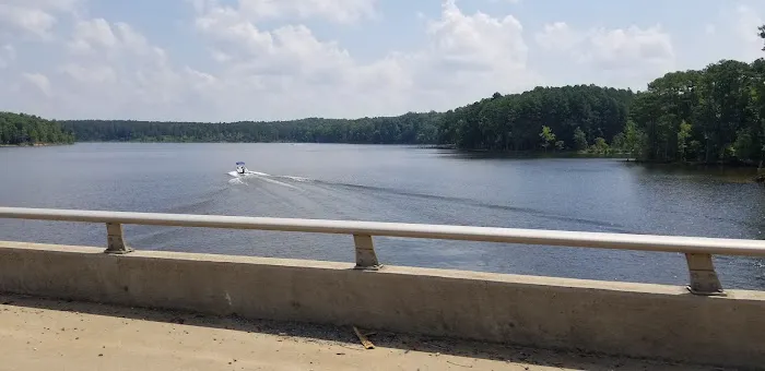 Holly Point Loop 1 Campgrounds Picture 9