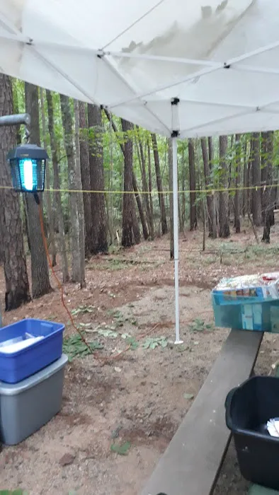 Holly Point Loop 1 Campgrounds Picture 4