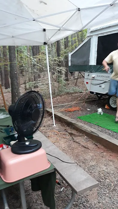 Holly Point Loop 1 Campgrounds Picture 6