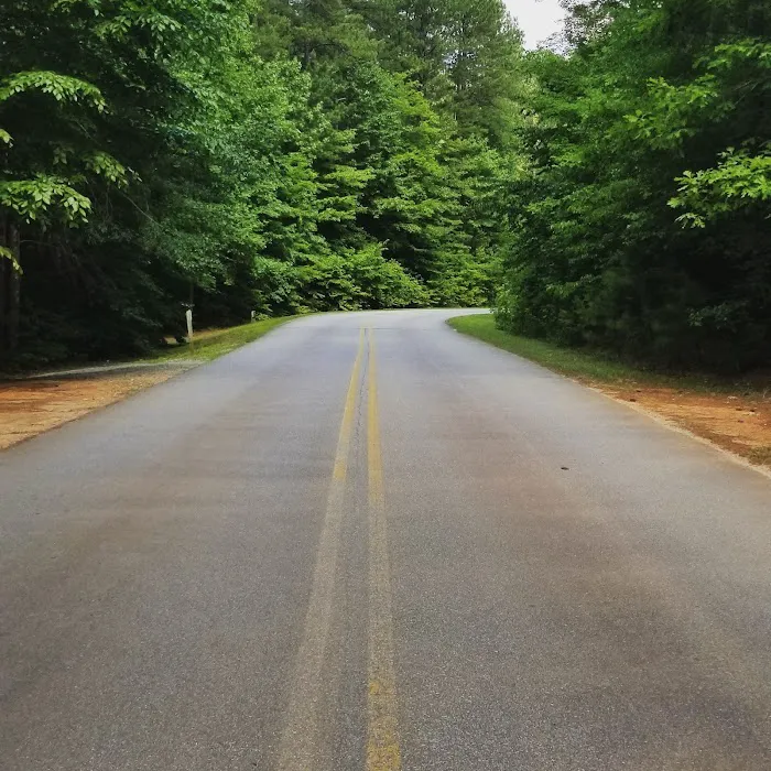 Holly Point Loop 1 Campgrounds Picture 5