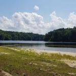 Holly Point Loop 1 Campgrounds