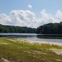 Holly Point Loop 1 Campgrounds ico