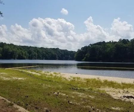 Holly Point Loop 1 Campgrounds