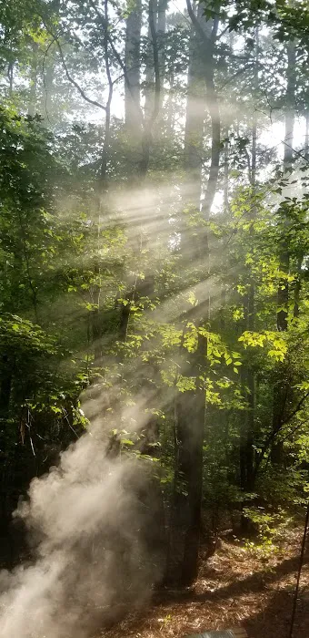 Holly Point Loop 1 Campgrounds Picture 2