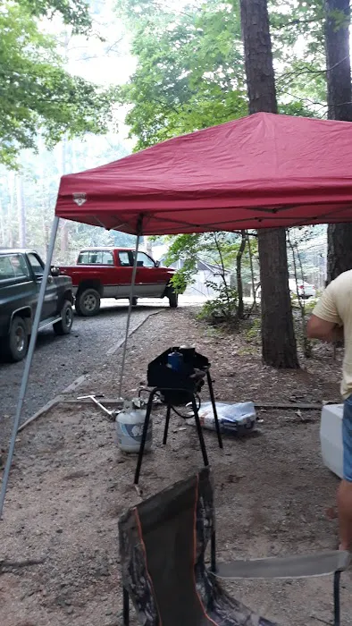 Holly Point Loop 1 Campgrounds Picture 7
