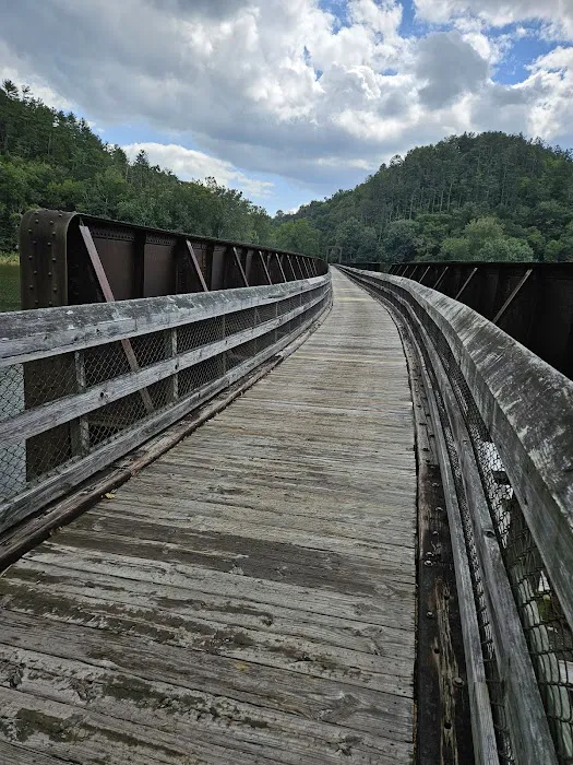 Double Shoals Campground Picture 9