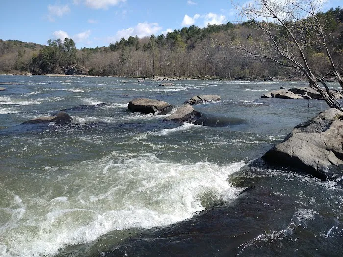 Double Shoals Campground Picture 6