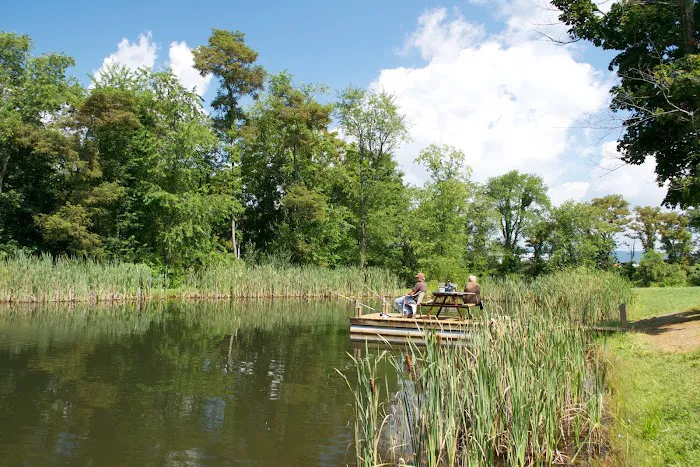 Wytheville KOA Holiday Picture 5