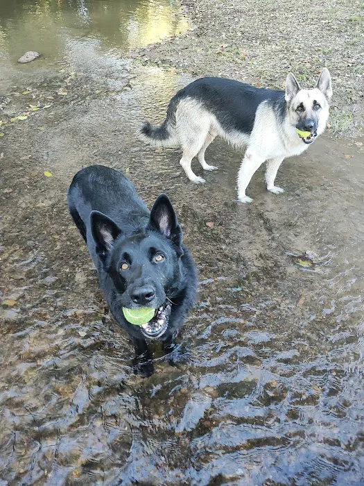 Iron Peak Ranch Picture 7