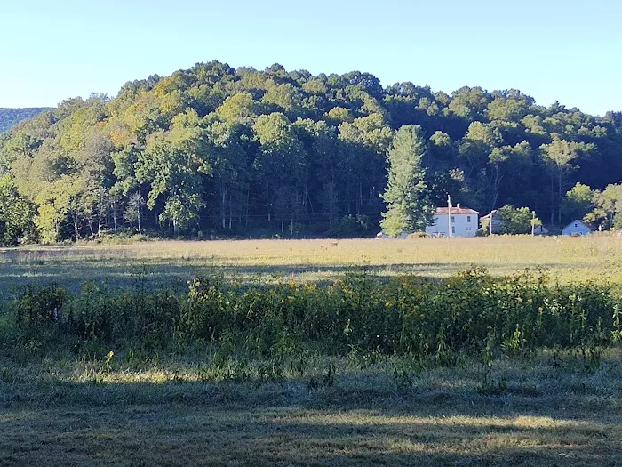 Iron Peak Ranch Picture 4