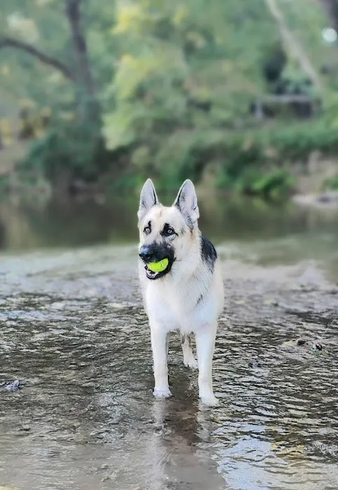 Iron Peak Ranch Picture 2