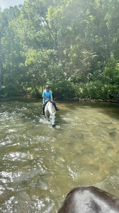 Iron Mountain Horse Camp Picture 5