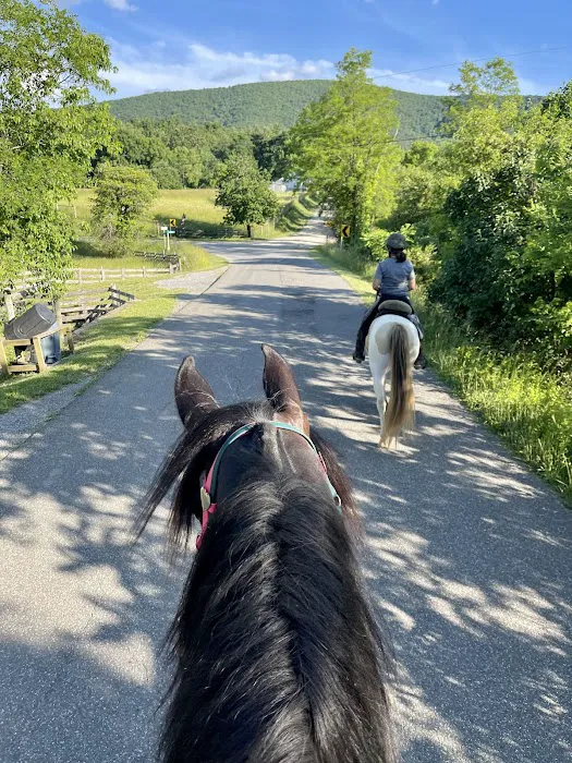 Iron Mountain Horse Camp Picture 7