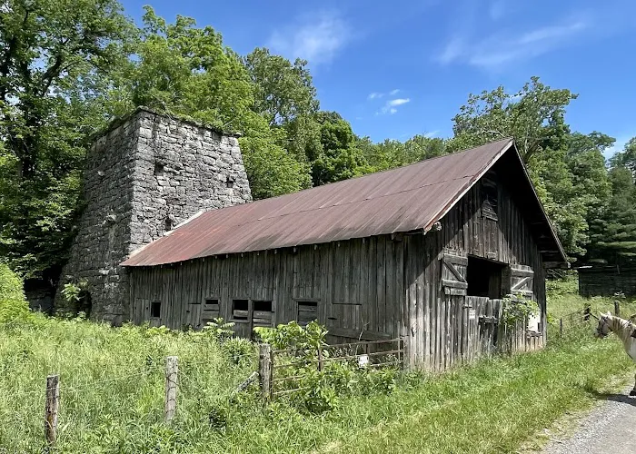 Iron Mountain Horse Camp Picture 8