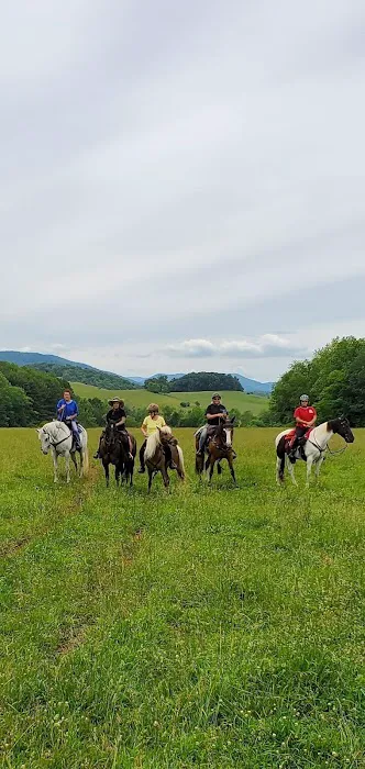 Iron Mountain Horse Camp Picture 9