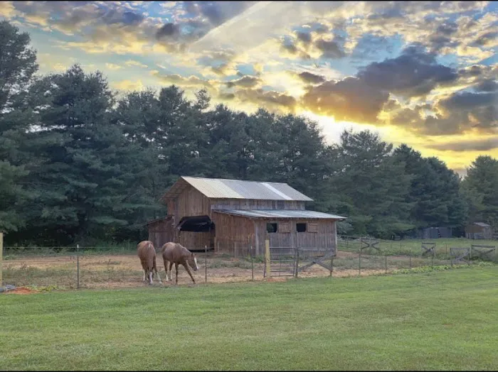 Holly Ridge Family Camp Ground Picture 5