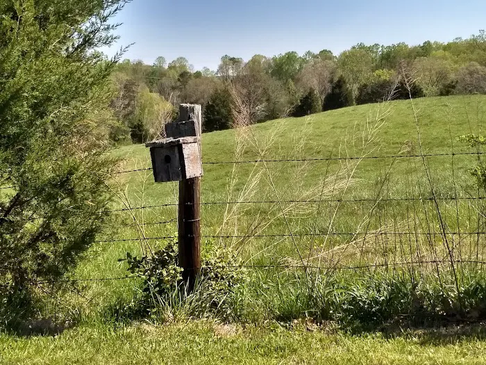 Holly Ridge Family Camp Ground Picture 9