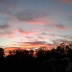 Elchenburg Castle Farm