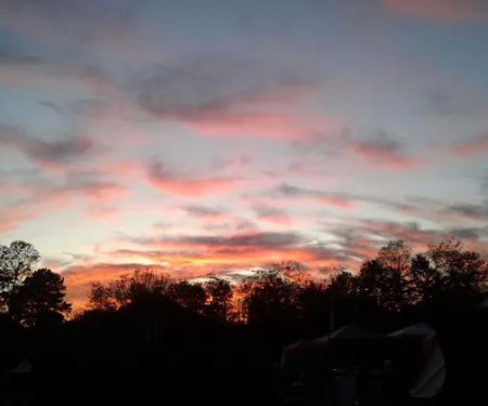 Elchenburg Castle Farm