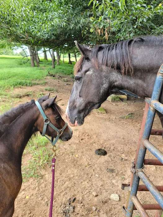 Just In Time Farm Picture 1