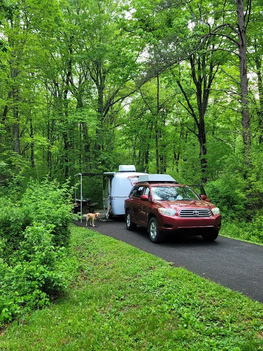 Stony Fork Campground Picture 6