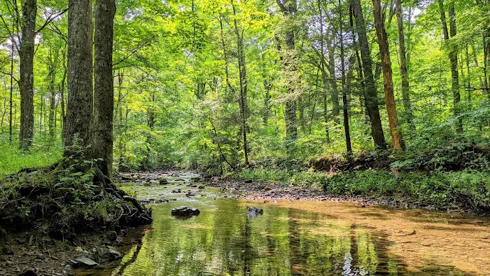 Stony Fork Campground Picture 2