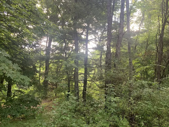 Stony Fork Campground Picture 9