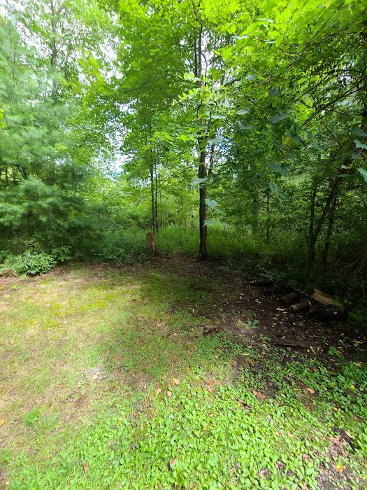 Stony Fork Campground Picture 3