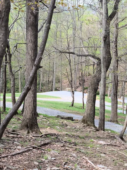 Big Ridge Campground Picture 1
