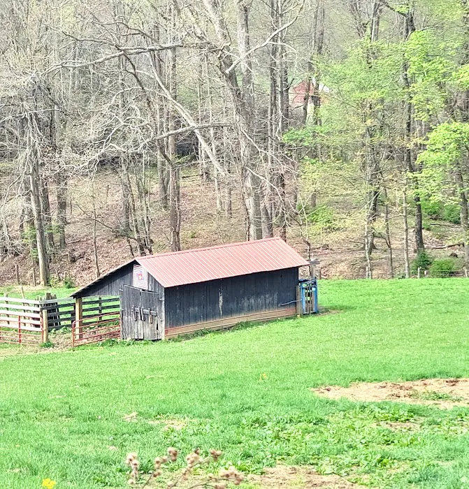 Big Ridge Campground Picture 4