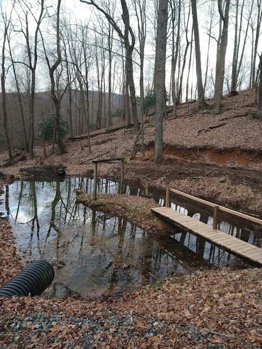 Big Ridge Campground Picture 10