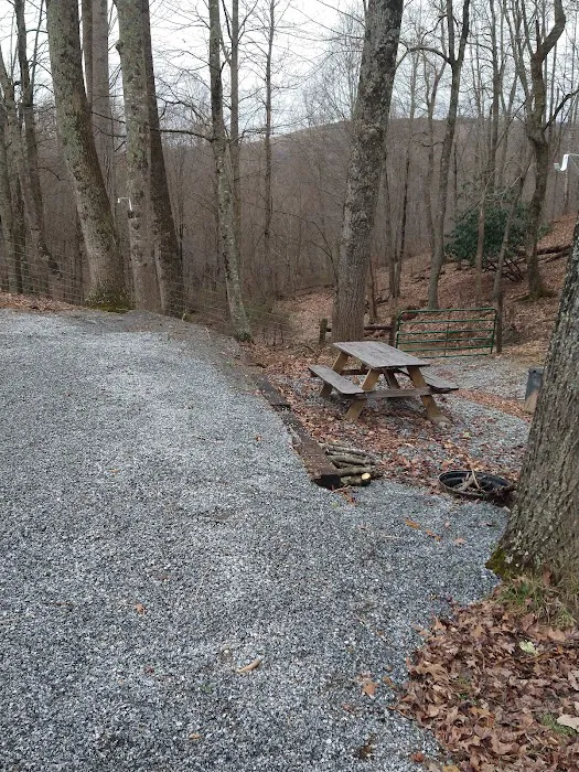 Big Ridge Campground Picture 7