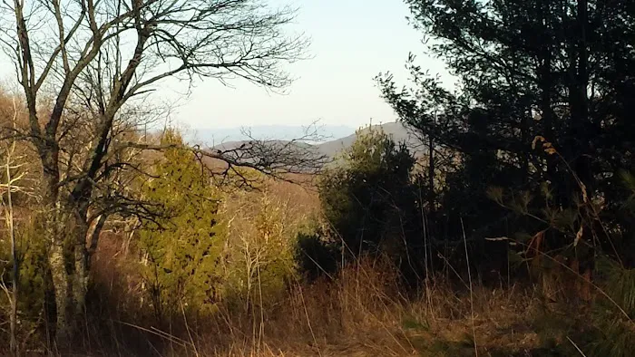 Comers Rock Recreation Area Picture 10