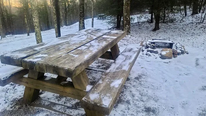 Comers Rock Recreation Area Picture 4