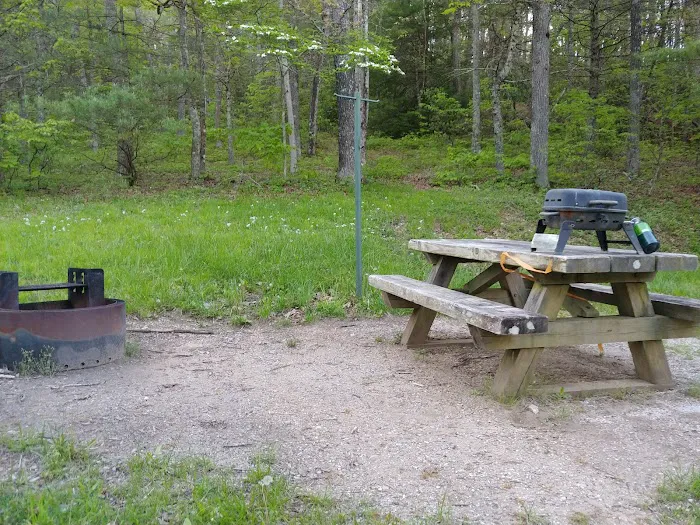 Comers Rock Recreation Area Picture 9