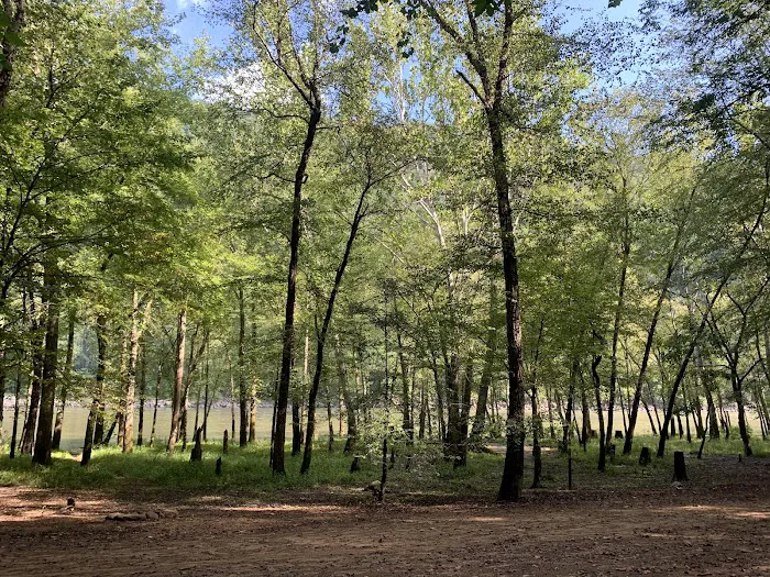 Glade Creek Campground Picture 7