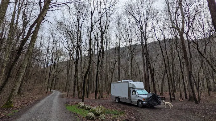 Glade Creek Campground Picture 8