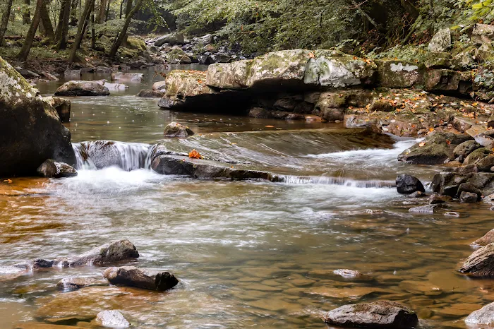 Glade Creek Campground Picture 9