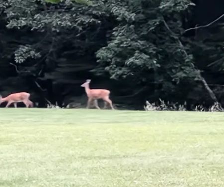 Little Beaver State Park Campground