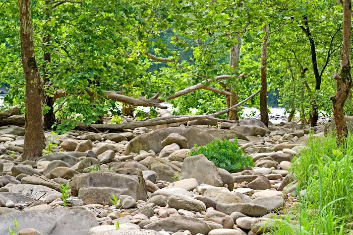 Grandview Sandbar Campground Picture 2