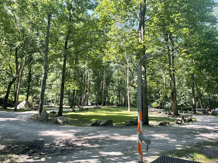 Grandview Sandbar Campground Picture 9