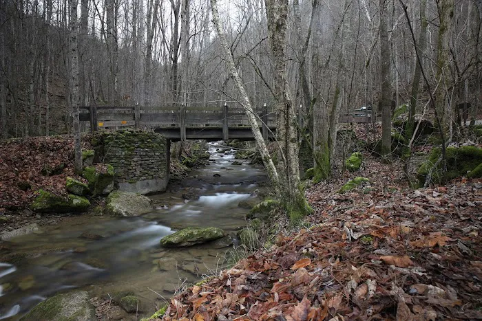 Grandview Sandbar Campground Picture 10