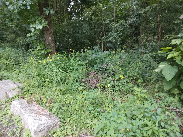 Thayer Campground Picture 8