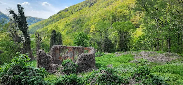 Thayer Campground Picture 3