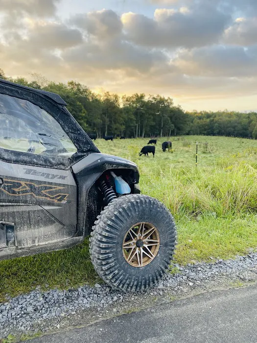 Black Dog Ranch OffRoad Resort Picture 2