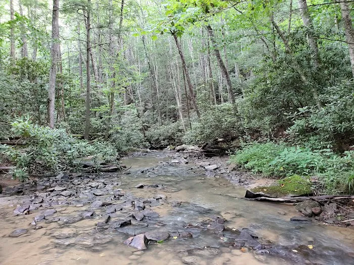 Wagon Wheel ATV Resort and Campground Picture 9